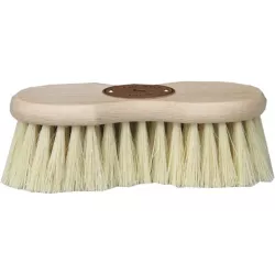 BROSSE CACTUS BORSTIQ 